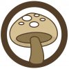 Coffin Race Streaming